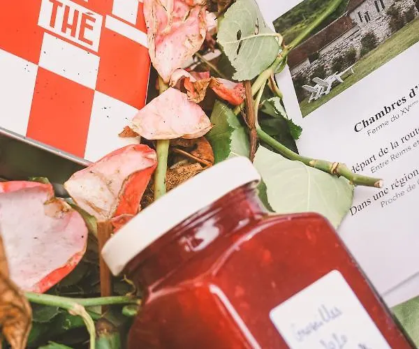 Chez Fred Et Cecile Verdilly